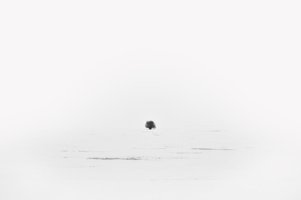 64